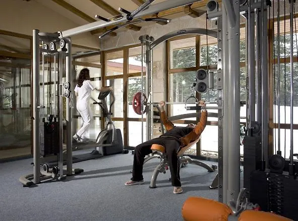 Deluxe In Stoykite Apartment Pamporovo